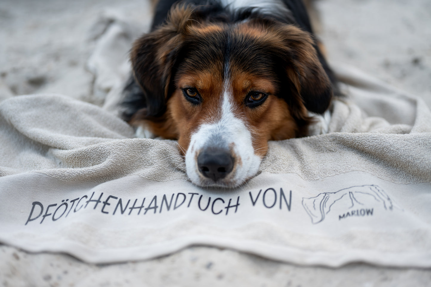 Pfoten - Handtuch