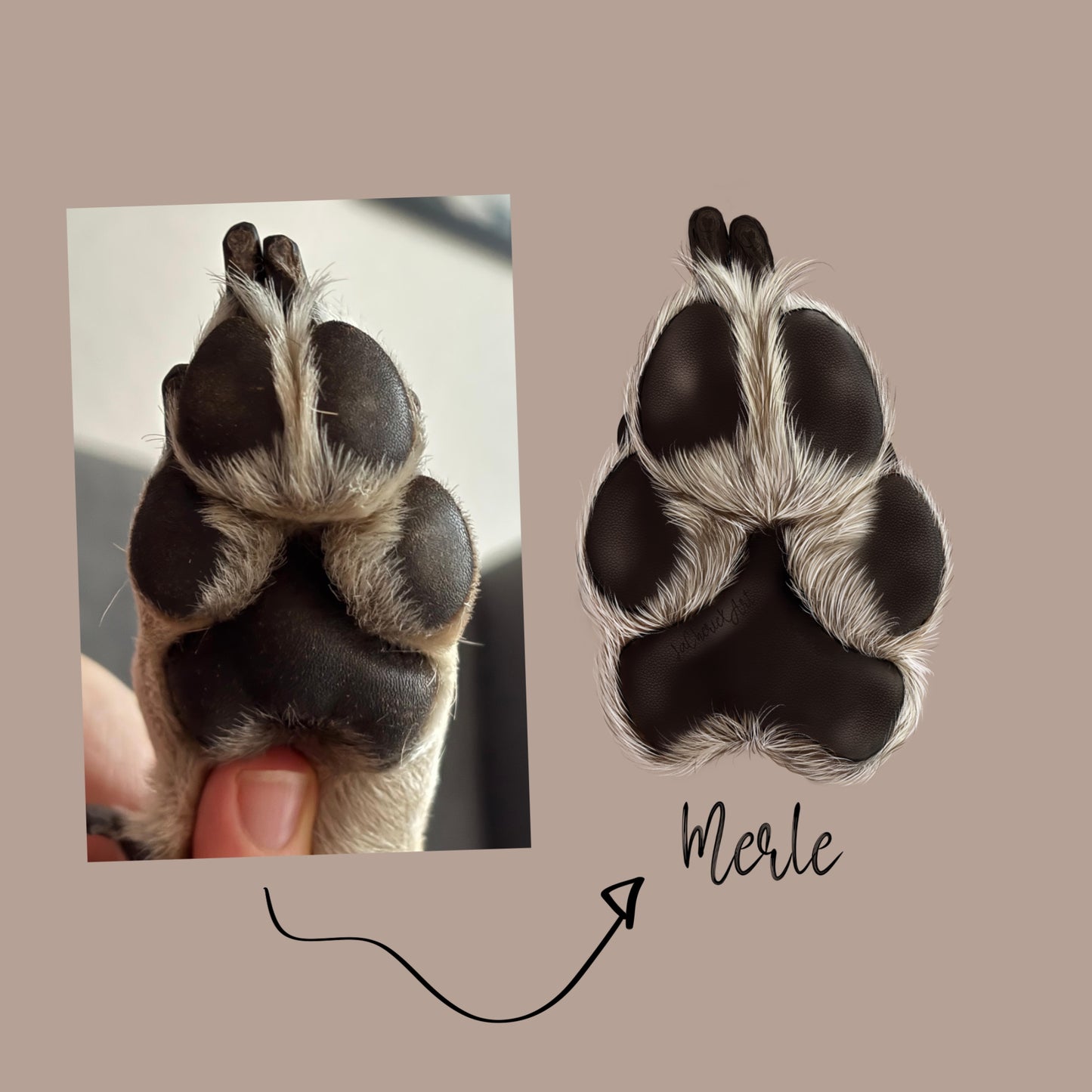 Detaillierte Pfotenzeichnung