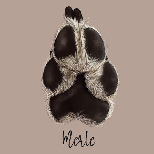 Detaillierte Pfotenzeichnung