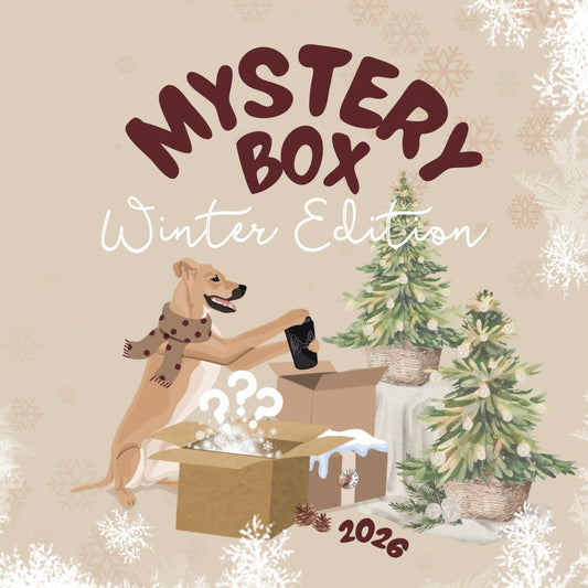 Mystery Box (Winter-Edition)