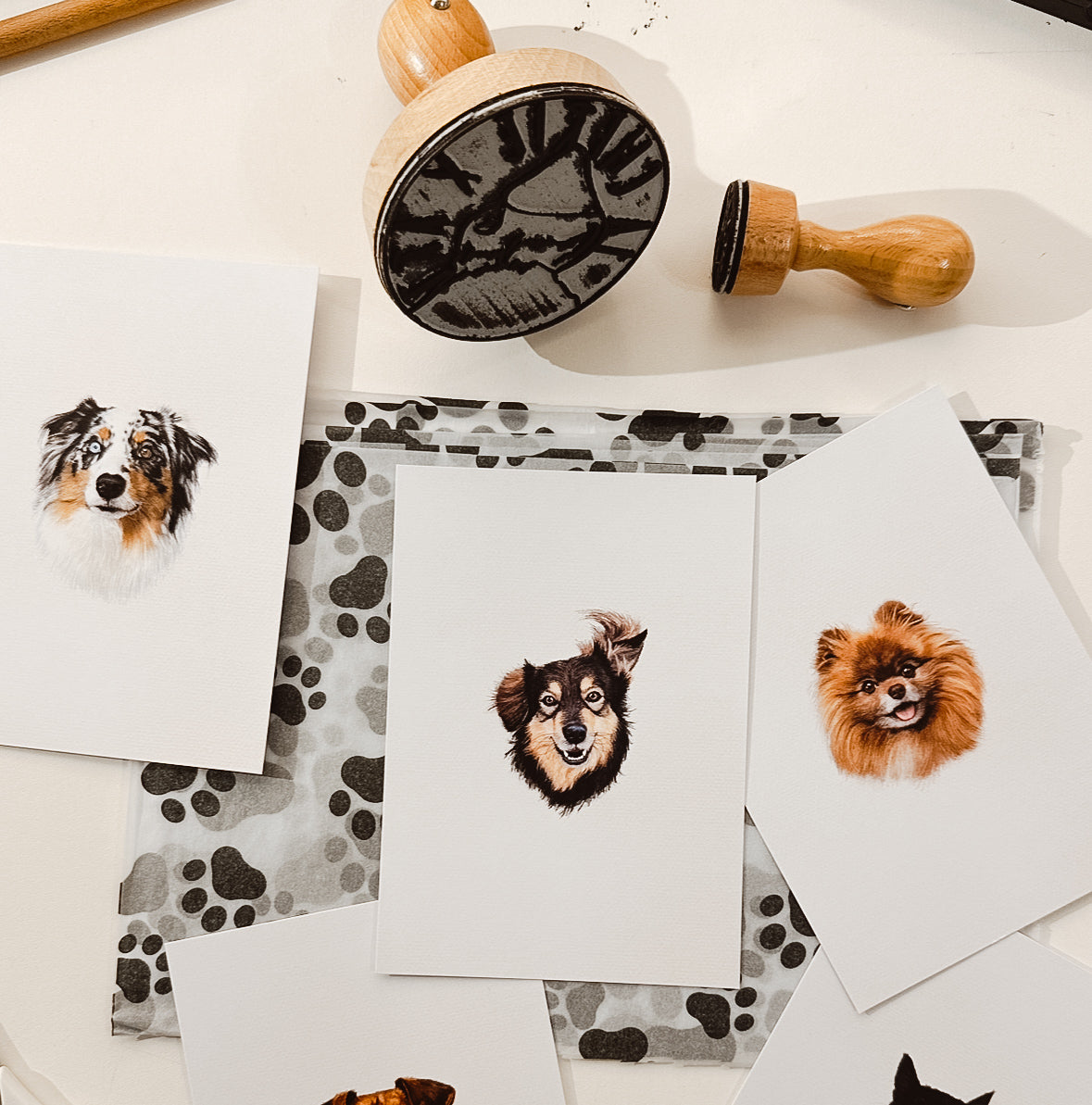 Mini-Portraits (März)