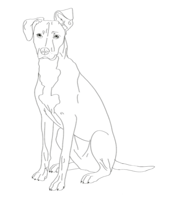 Tier Line-Art