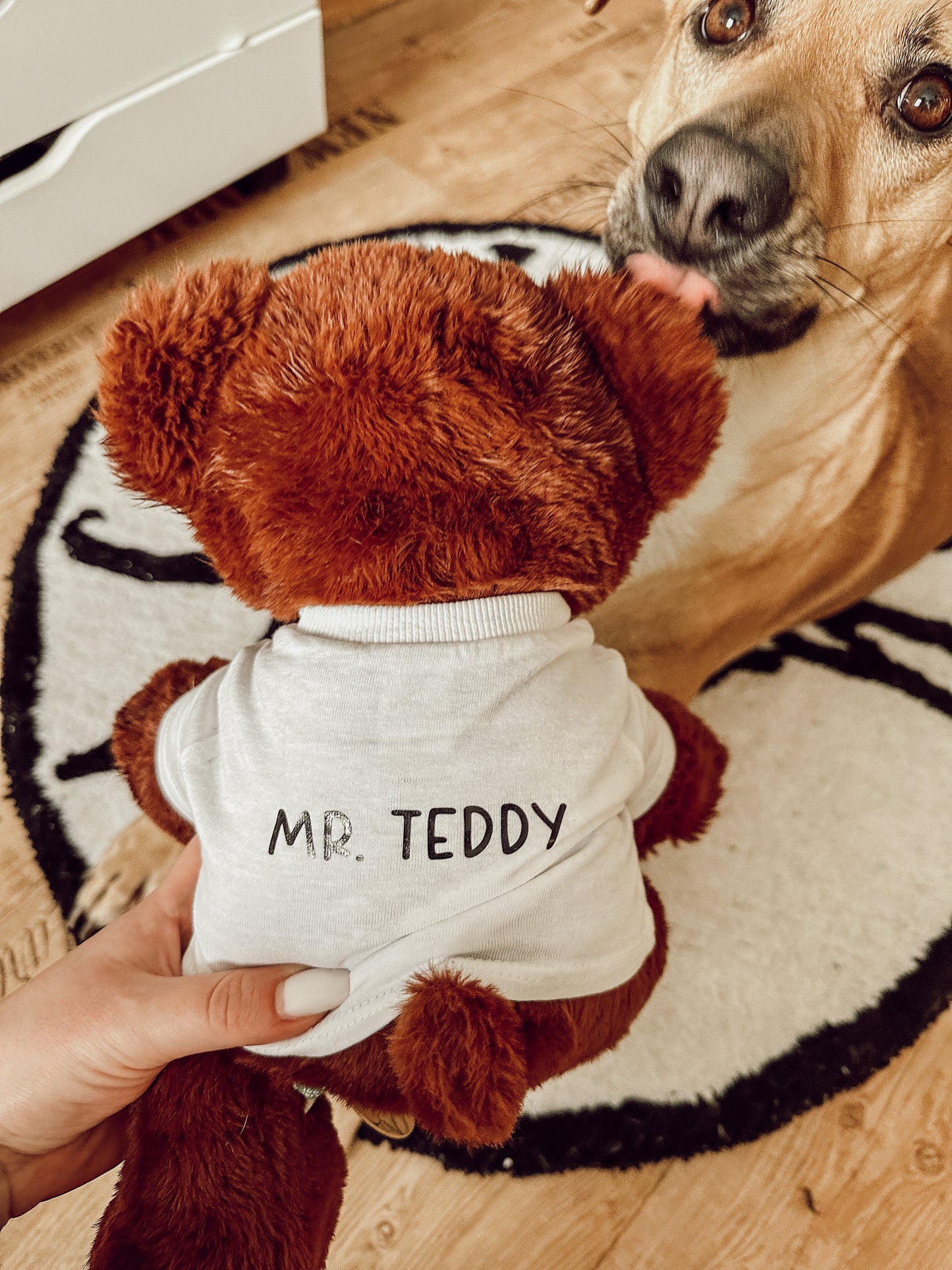 Mr. Teddy / Kuscheltier